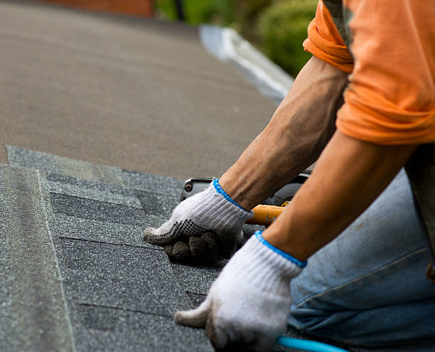 Best Roof Gutter Cleaning  in Waldron, AR